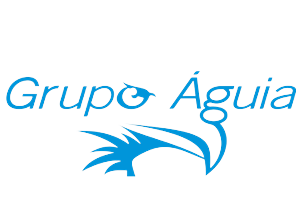 logos do grupo águia e next